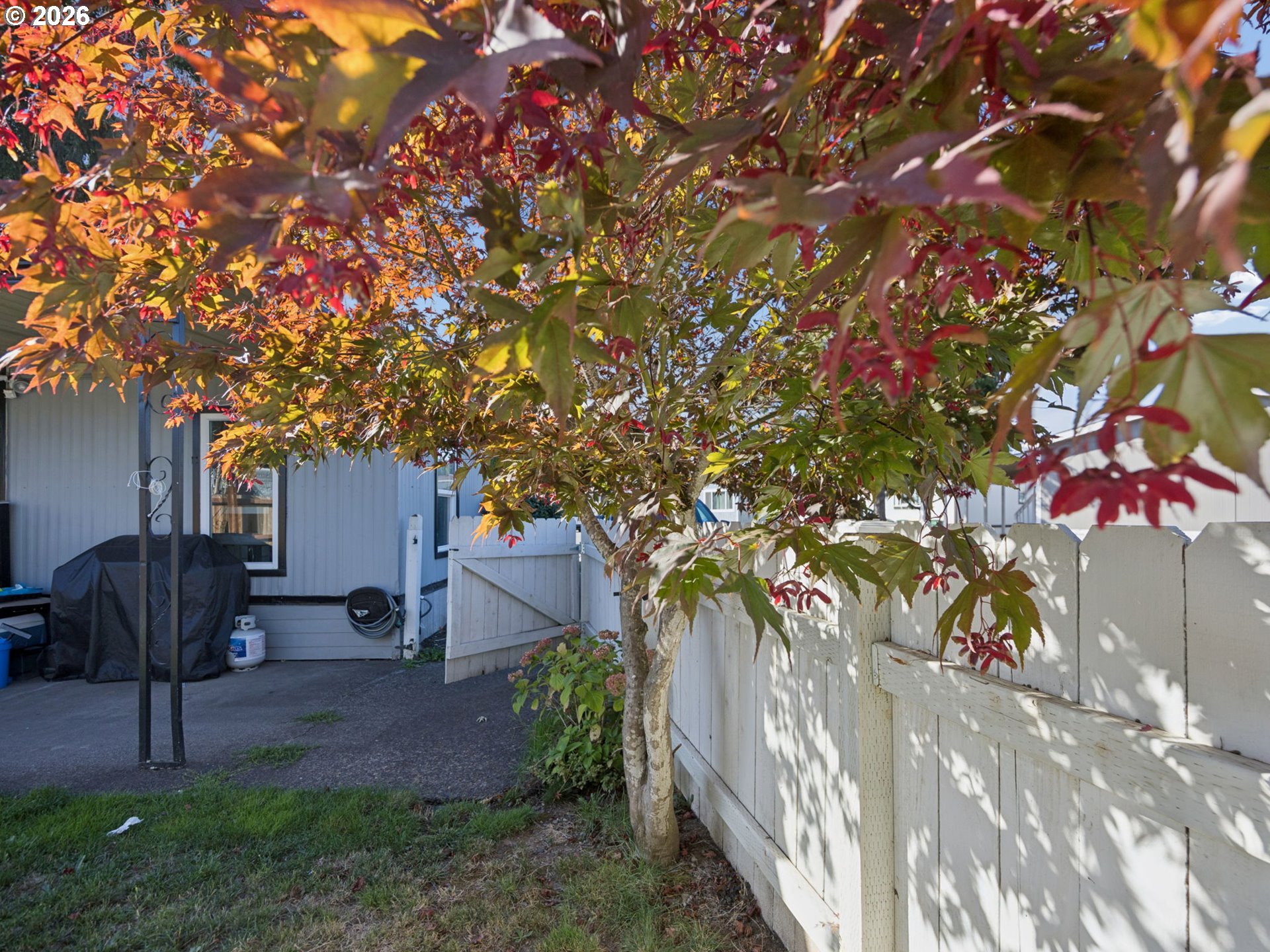 3831 Pacific Ave C008 Property Photo 32
