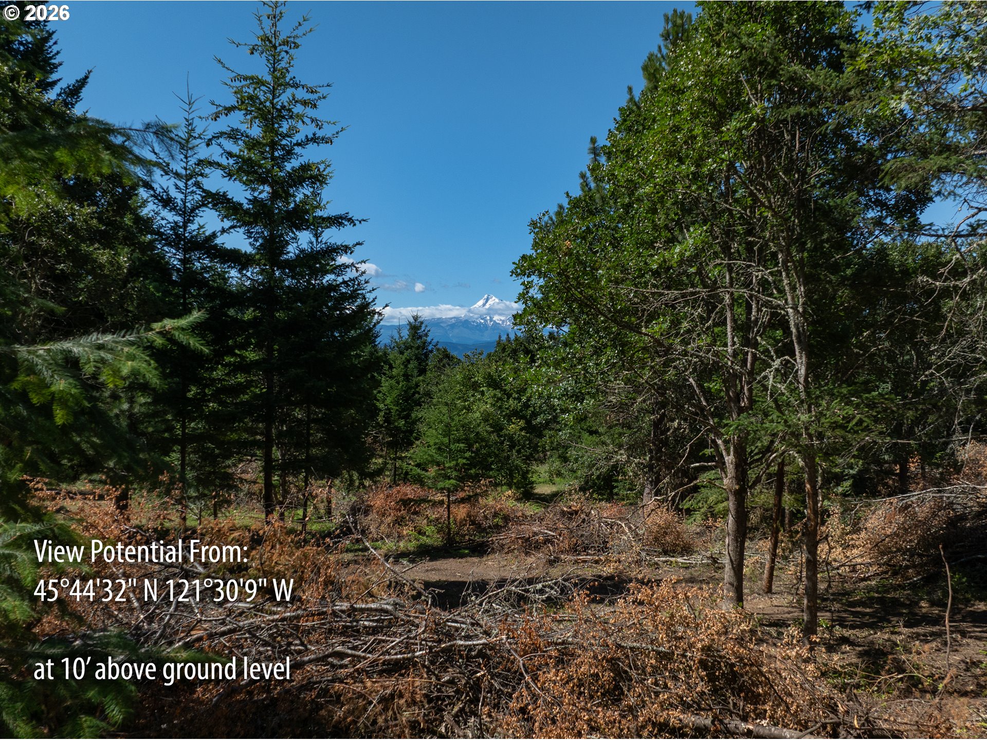 Riggleman Ln Property Photo 2