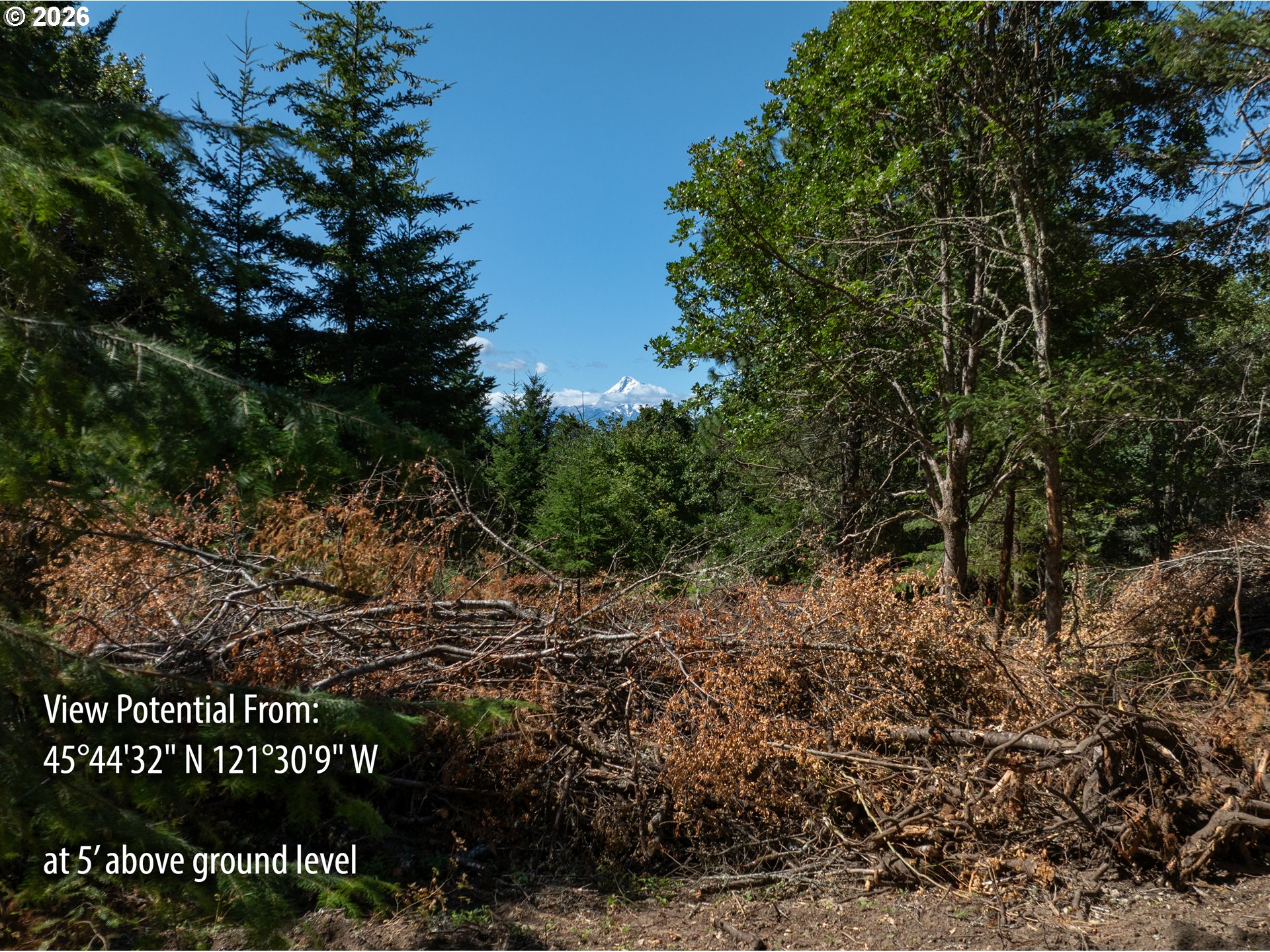 Riggleman Ln Property Photo 8