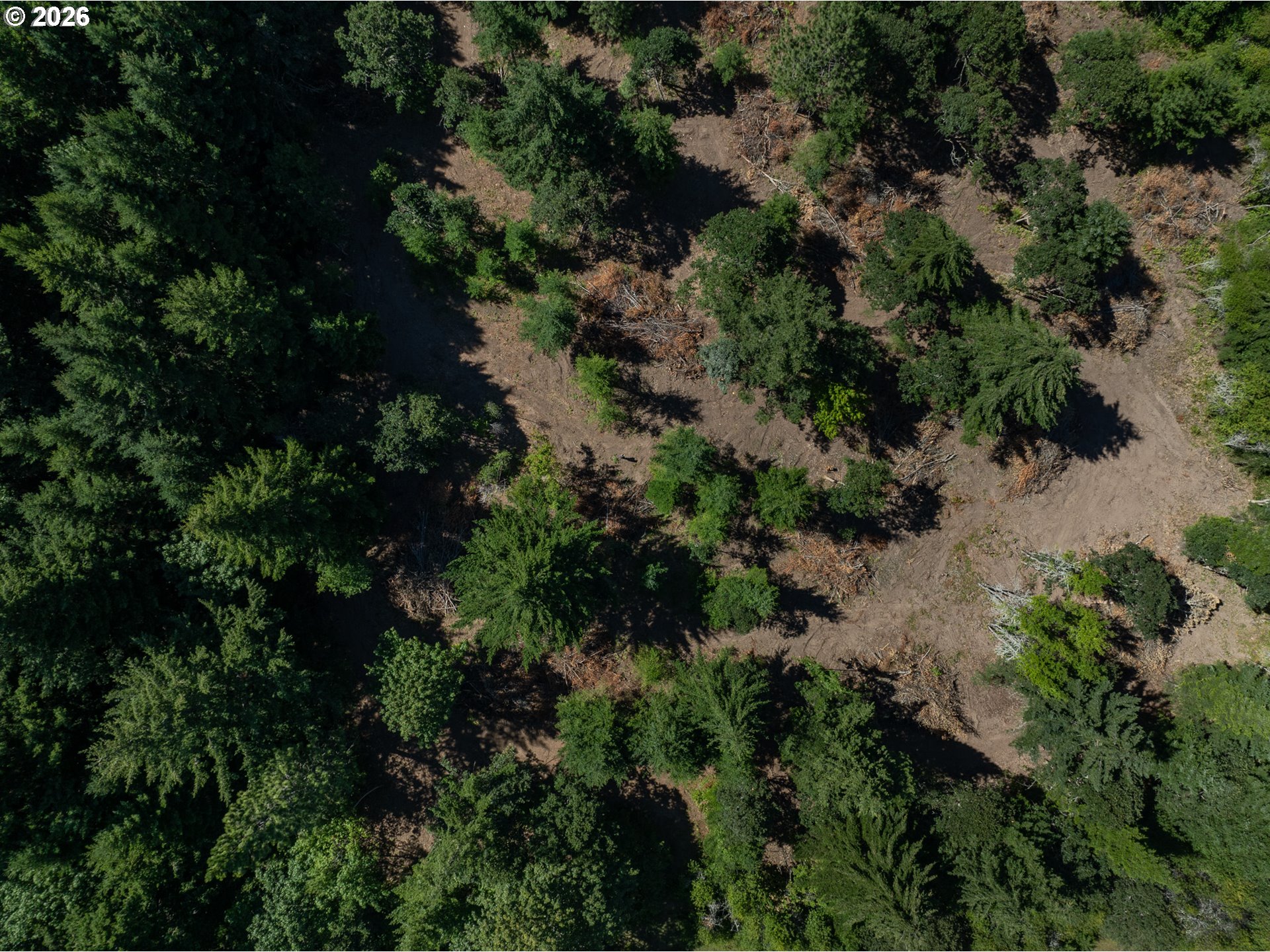 Riggleman Ln Property Photo 10