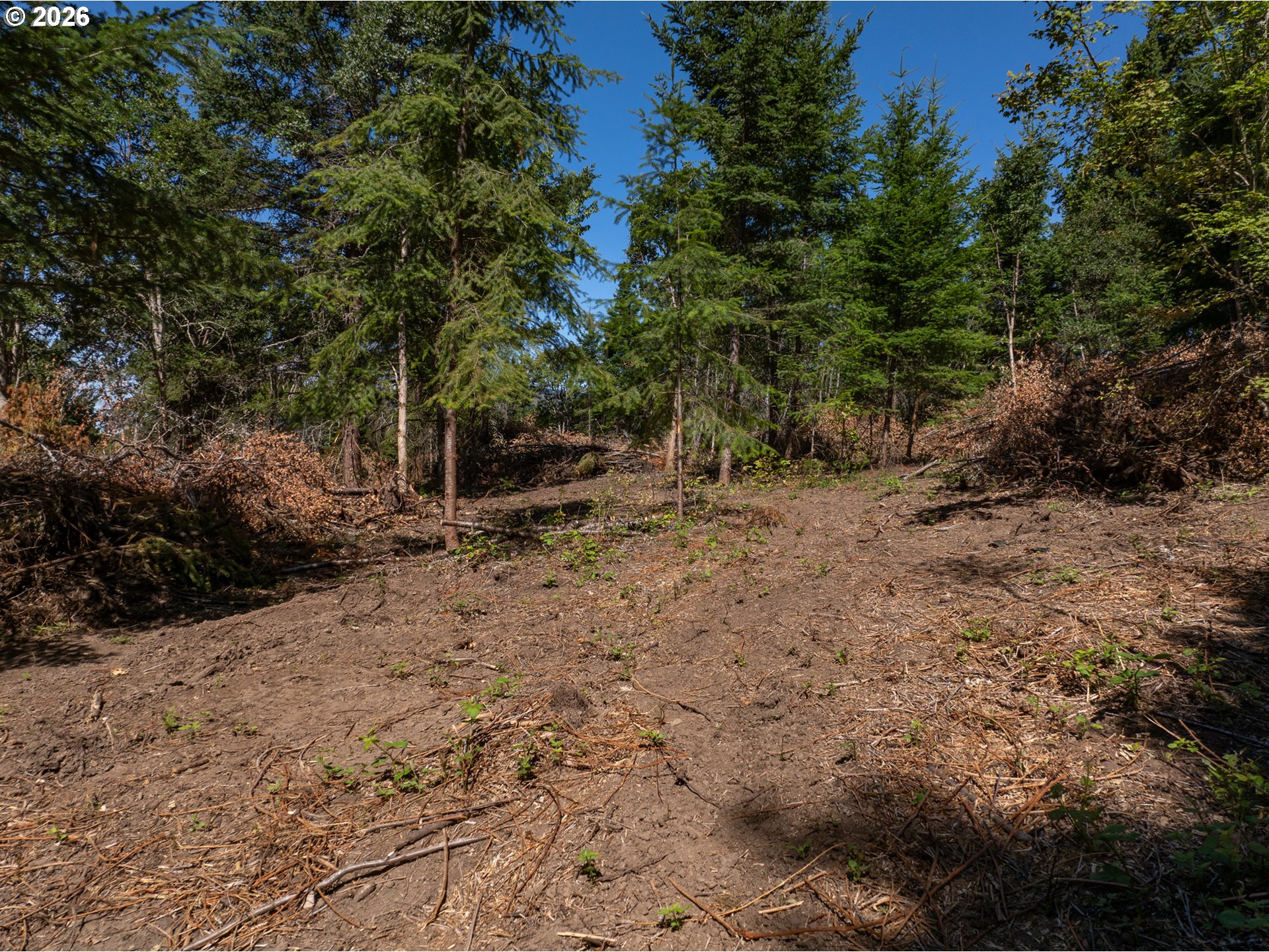 Riggleman Ln Property Photo 12