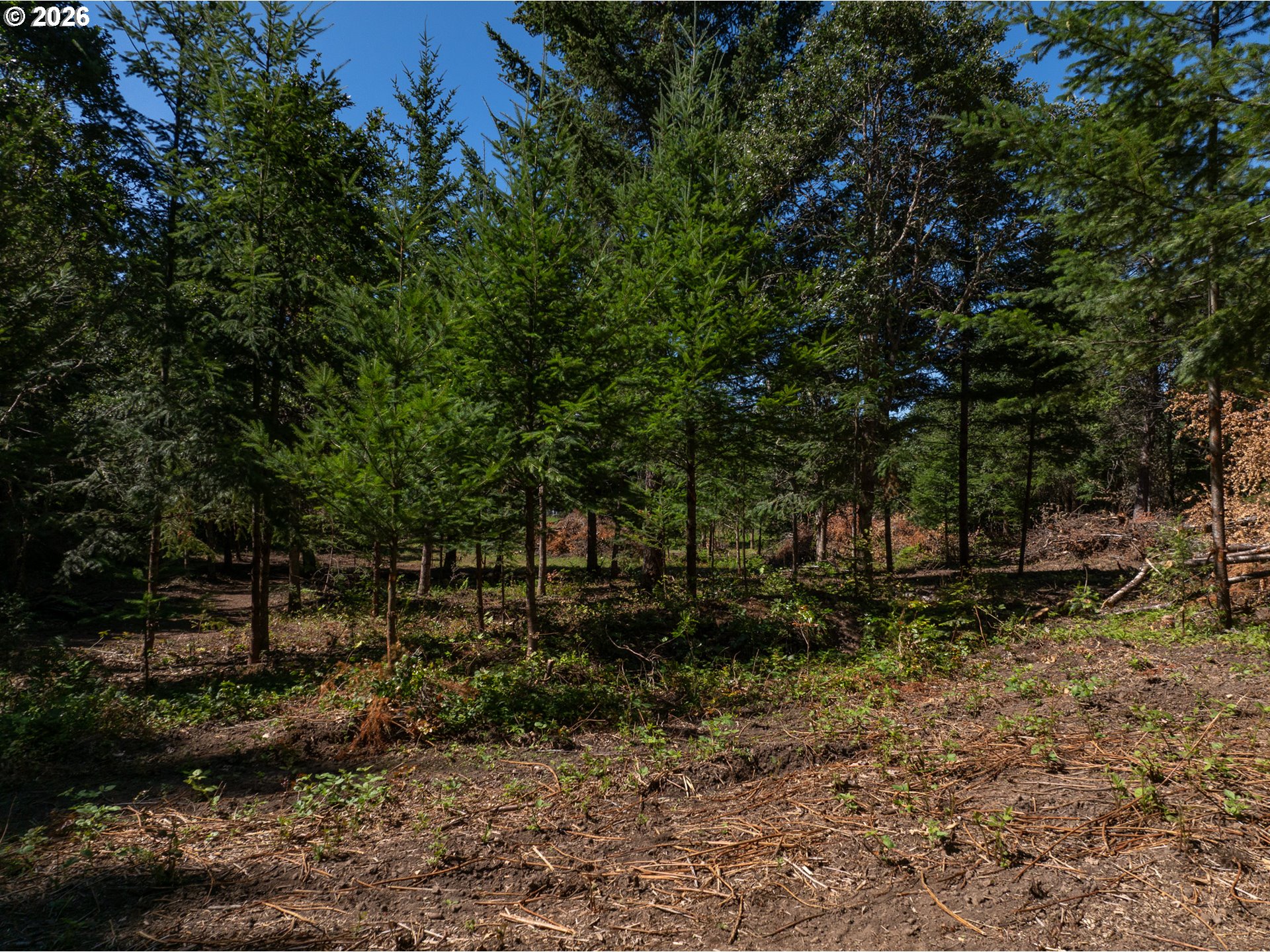 Riggleman Ln Property Photo 13