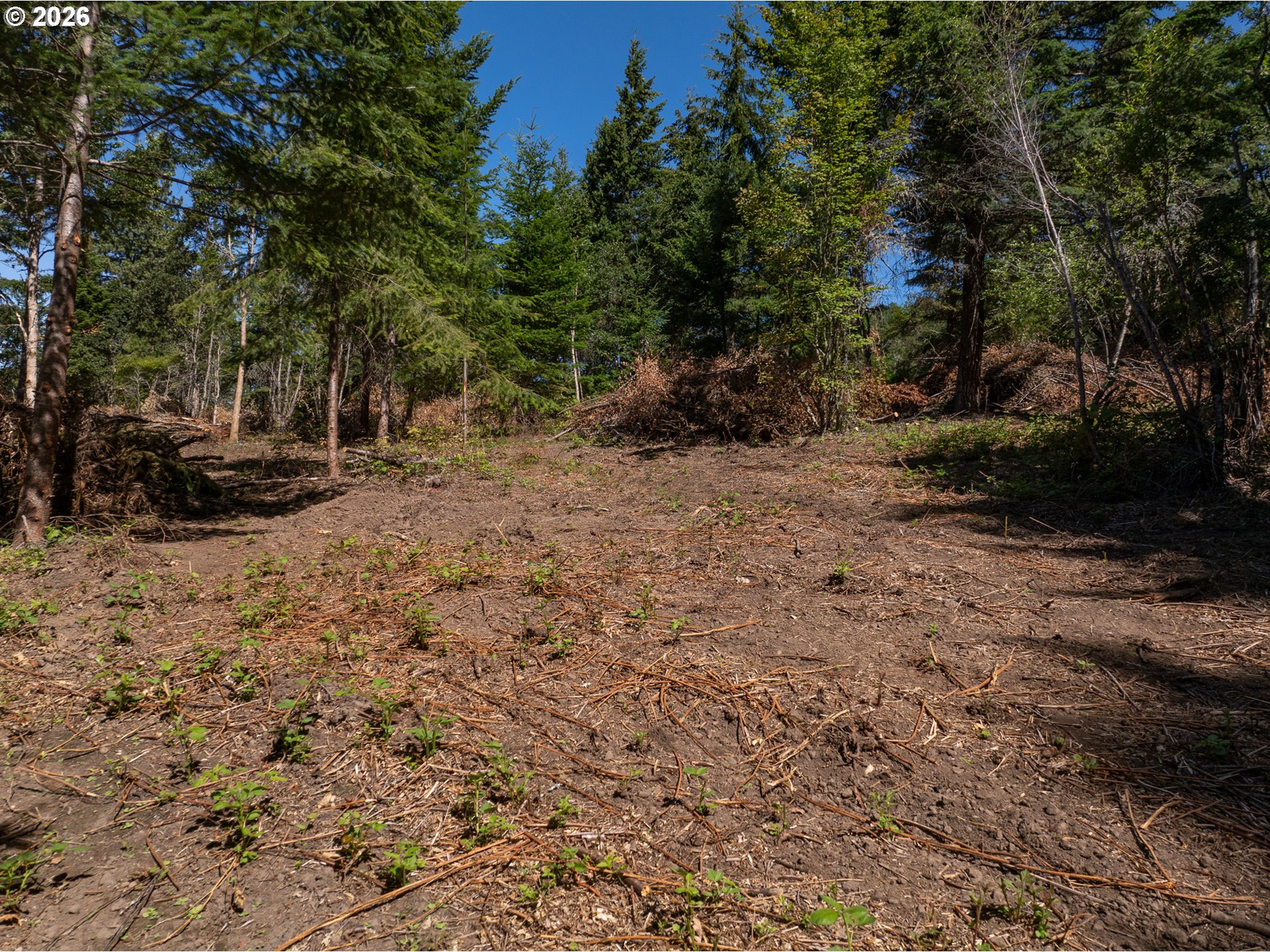 Riggleman Ln Property Photo 14