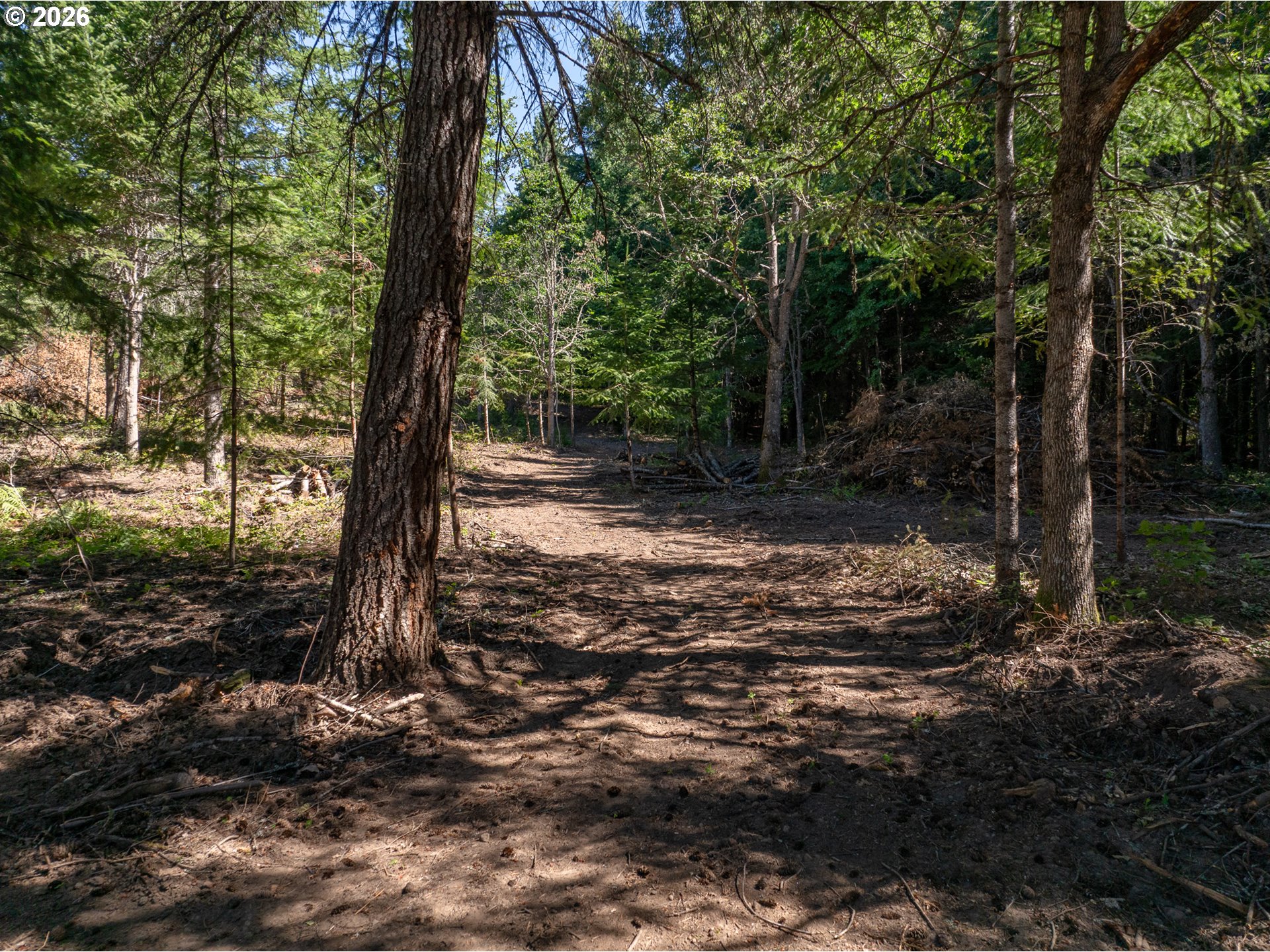 Riggleman Ln Property Photo 16