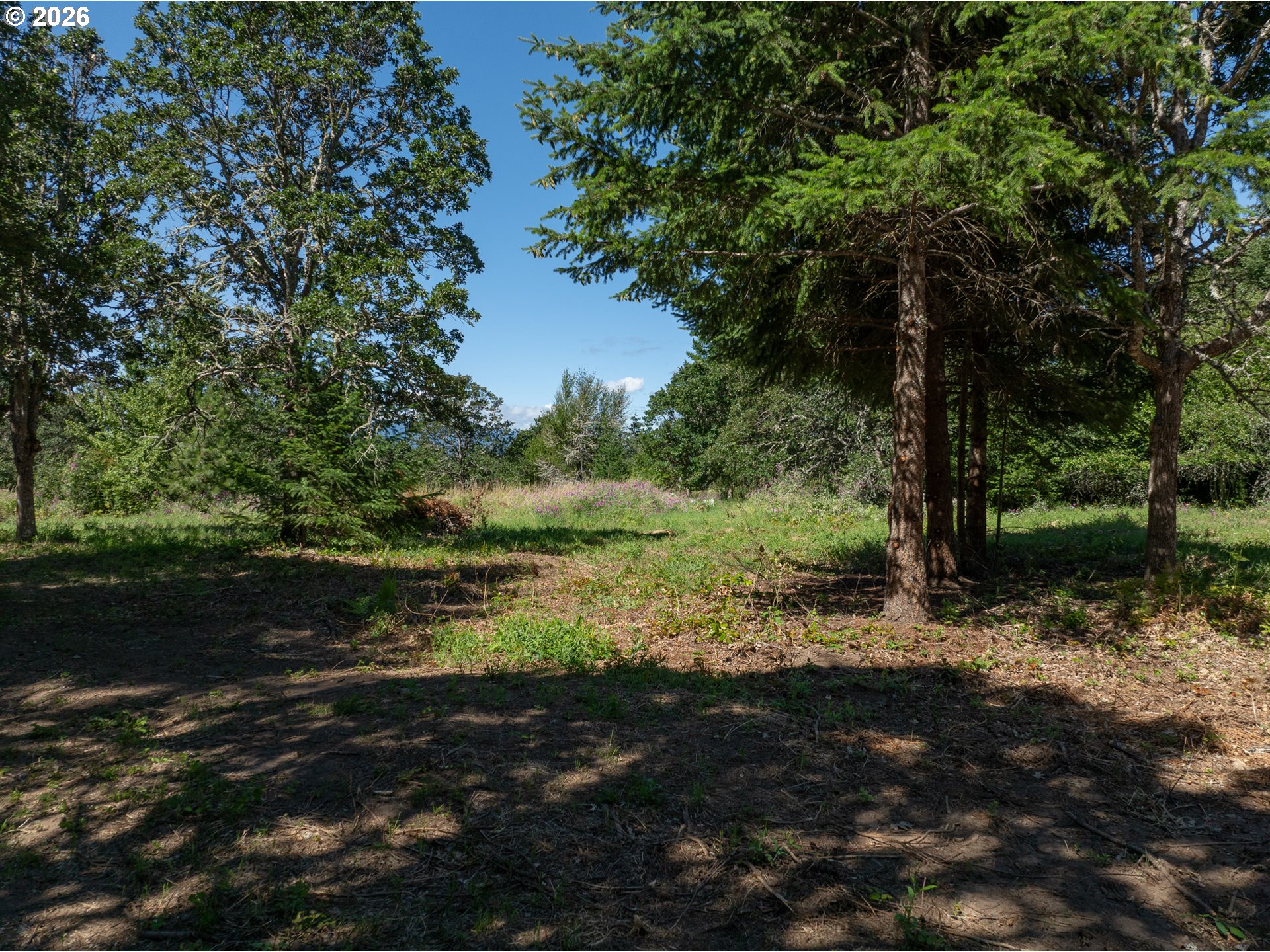 Riggleman Ln Property Photo 17