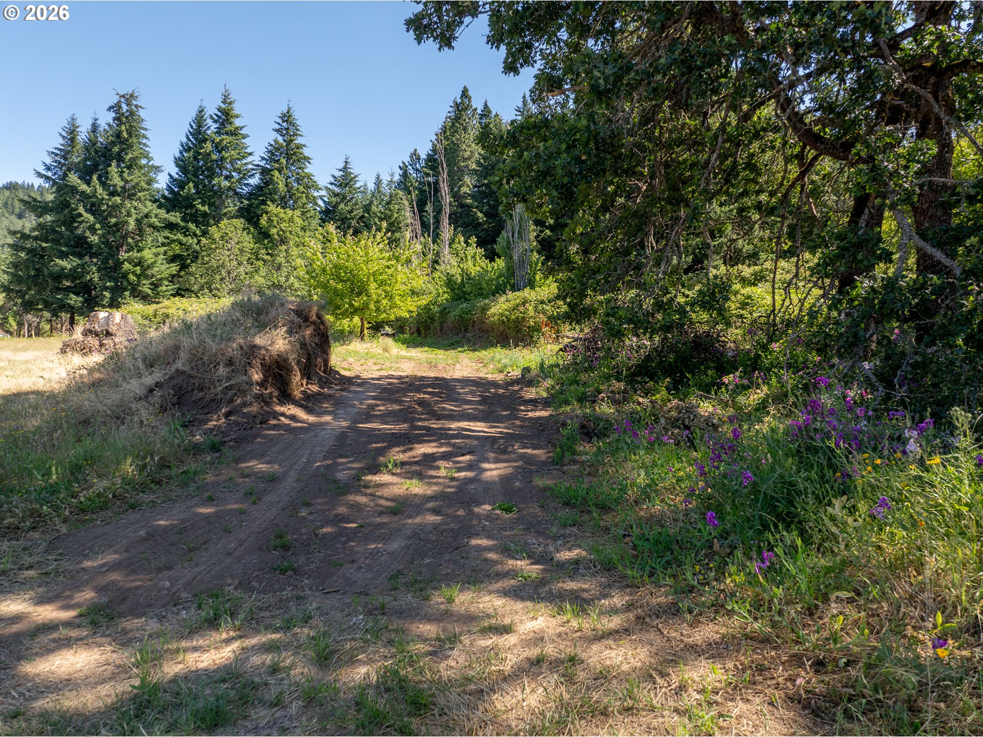 Riggleman Ln Property Photo 18