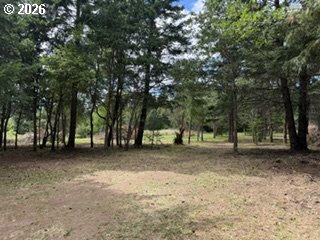 Riggleman Ln Property Photo 23