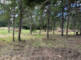 Riggleman Ln Property Photo 24