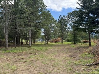 Riggleman Ln Property Photo 25