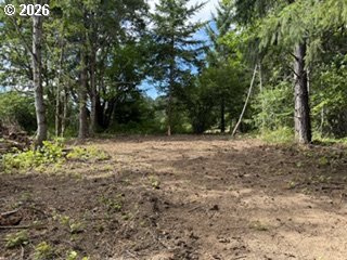 Riggleman Ln Property Photo 26