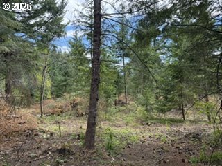 Riggleman Ln Property Photo 28