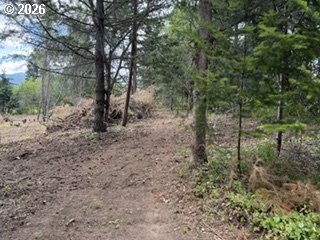 Riggleman Ln Property Photo 29
