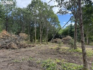 Riggleman Ln Property Photo 30