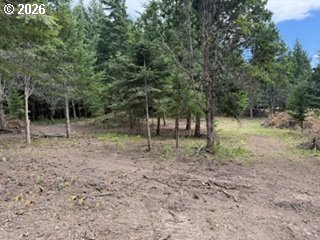 Riggleman Ln Property Photo 31
