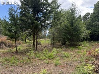 Riggleman Ln Property Photo 32