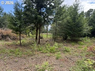Riggleman Ln Property Photo 33