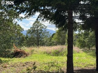 Riggleman Ln Property Photo 34