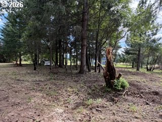 Riggleman Ln Property Photo 35