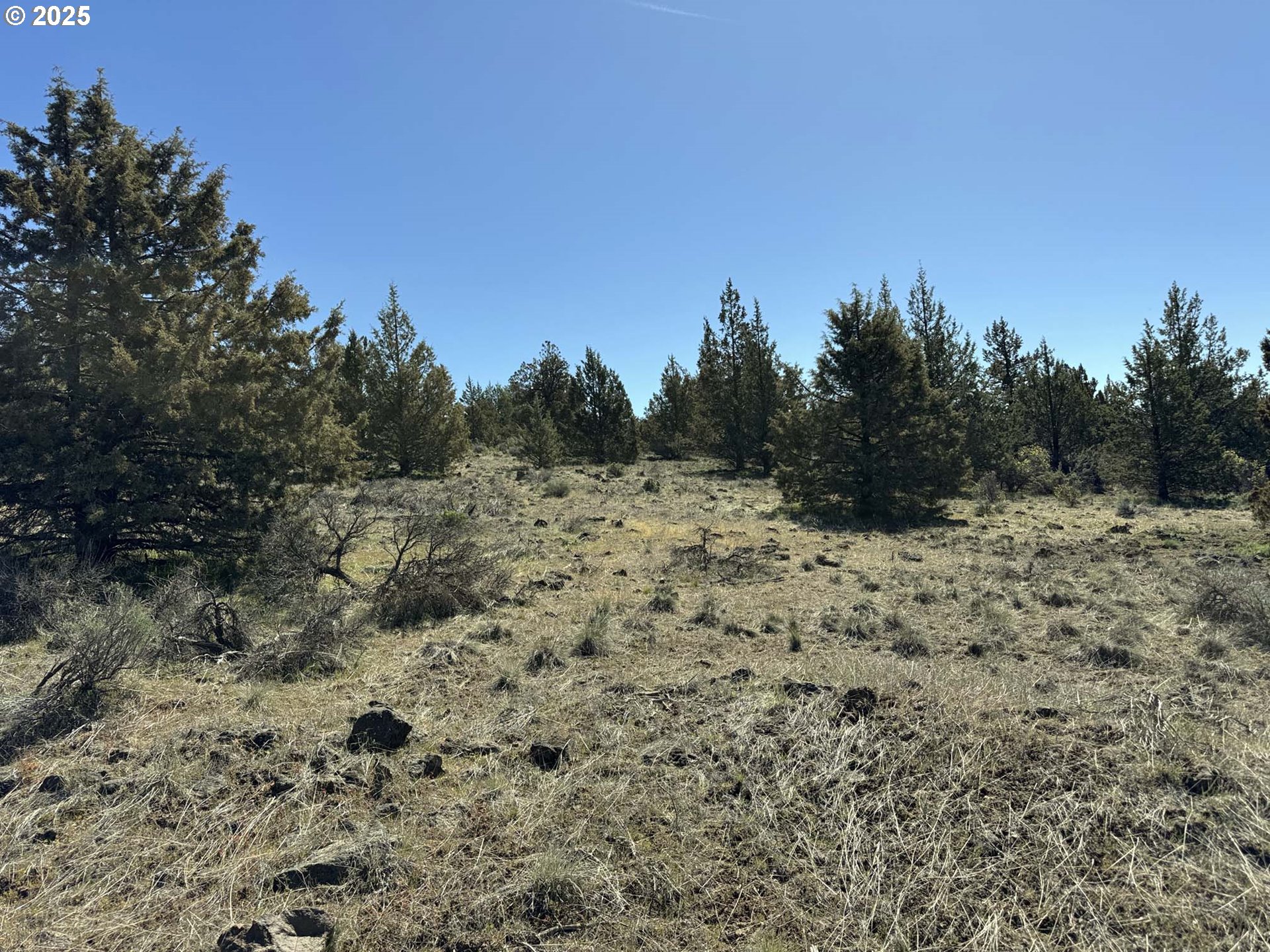 Bluebill Lane Lot 3 Property Photo 1
