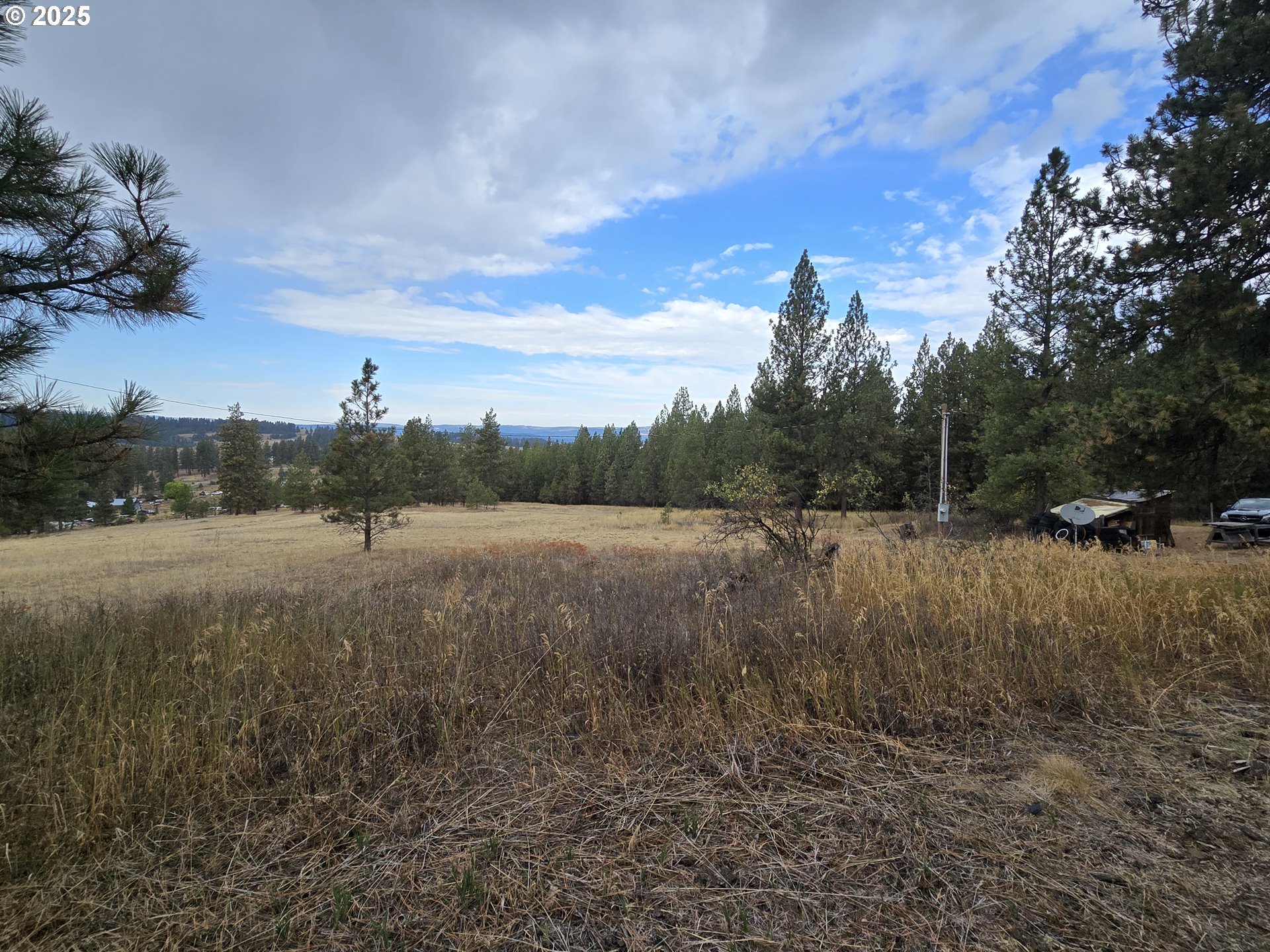 69443 Wickens Ln Property Photo 1