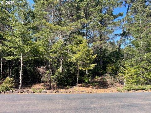 Wood Lake Way 00400 Property Photo 1