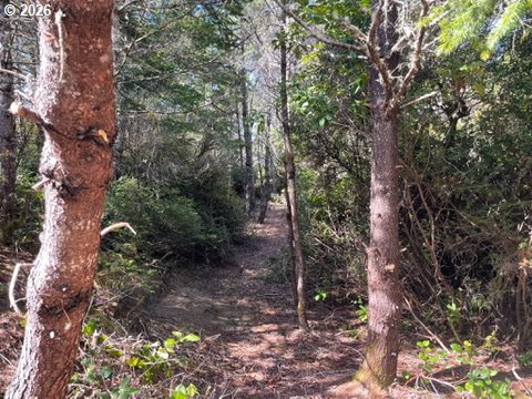 Wood Lake Way 00400 Property Photo 2