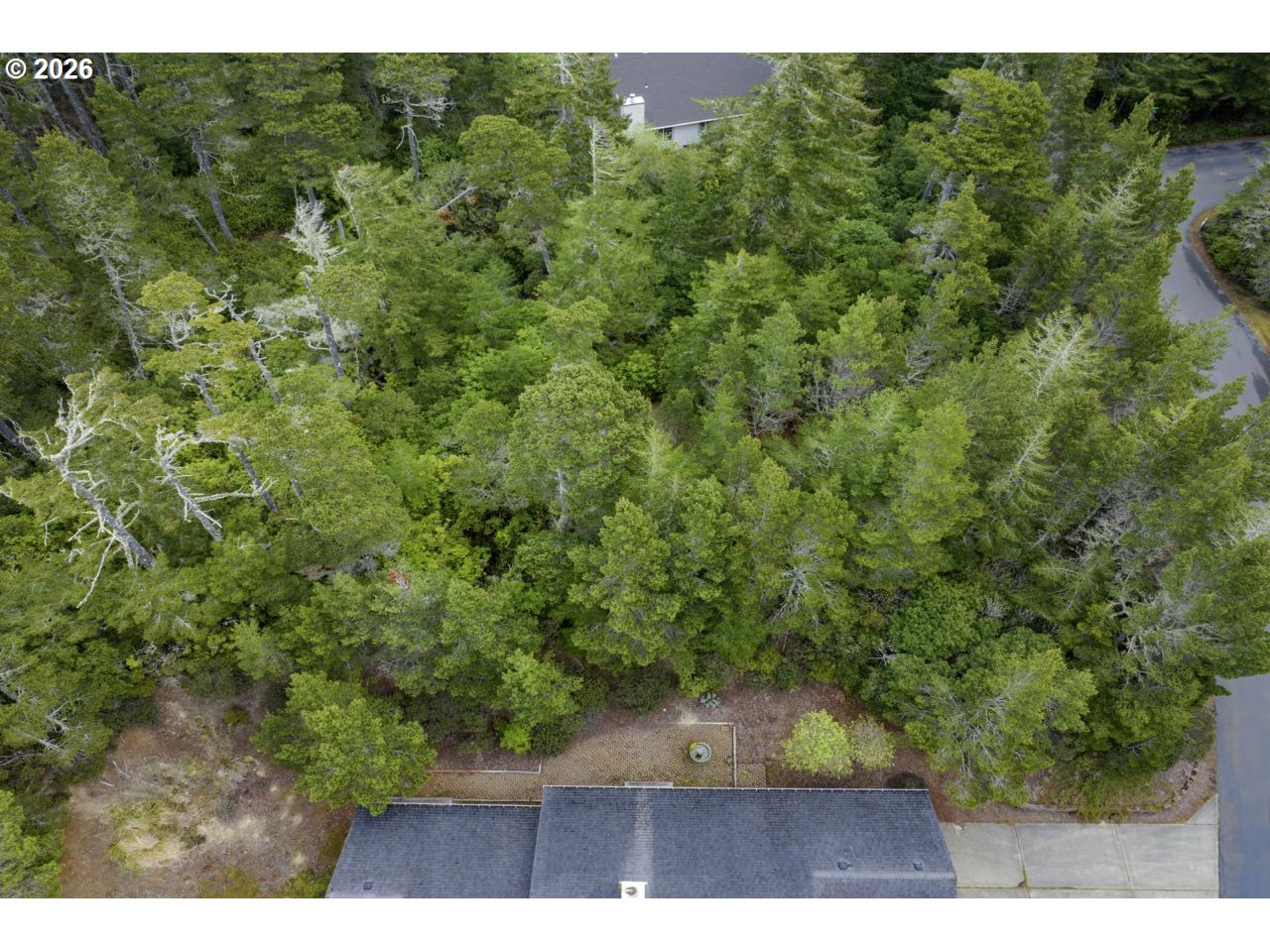 Wood Lake Way 00400 Property Photo 7
