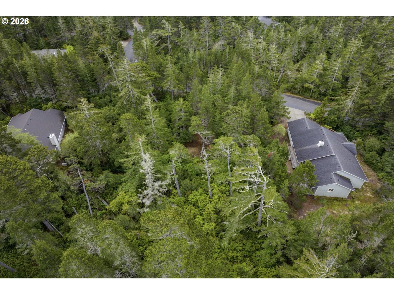 Wood Lake Way 00400 Property Photo 8