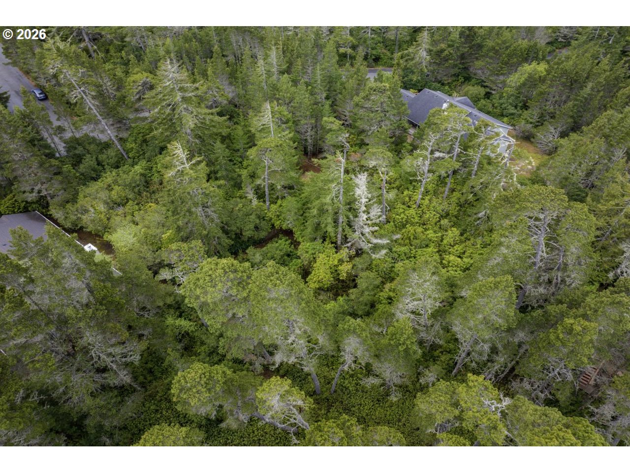 Wood Lake Way 00400 Property Photo 9