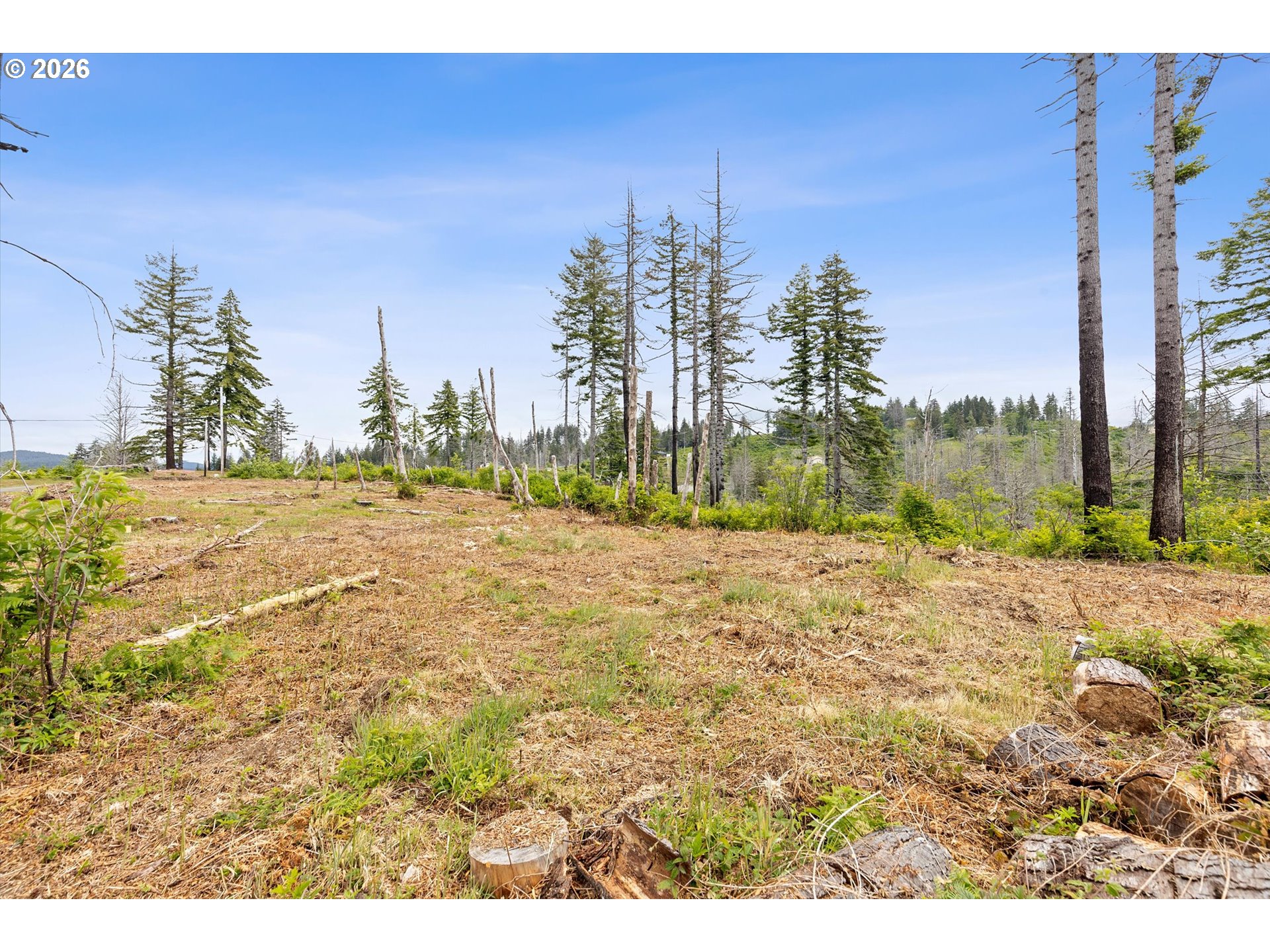 Ne Viewcrest Ct Tl 900 Property Photo 11