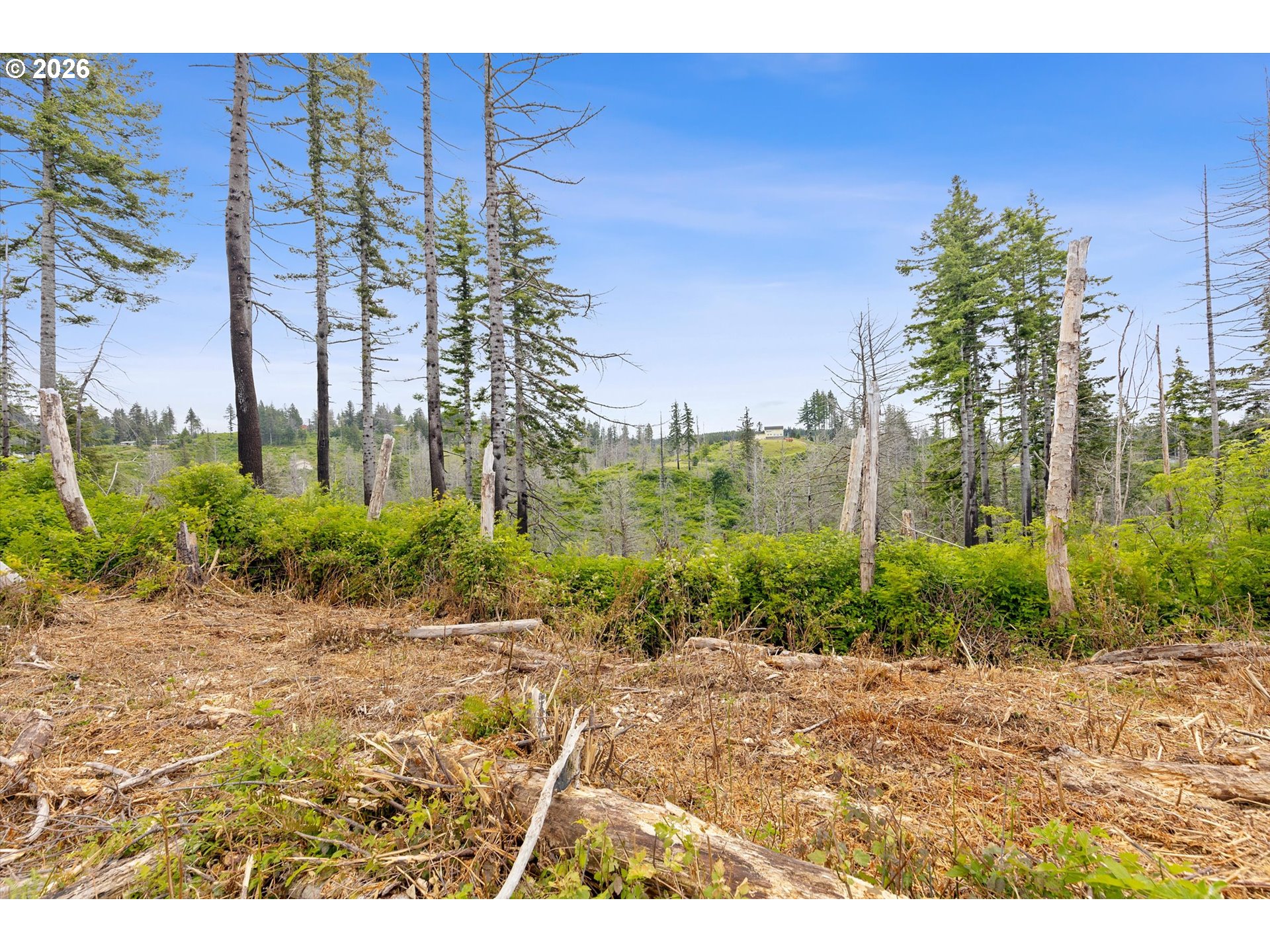Ne Viewcrest Ct Tl 900 Property Photo 13