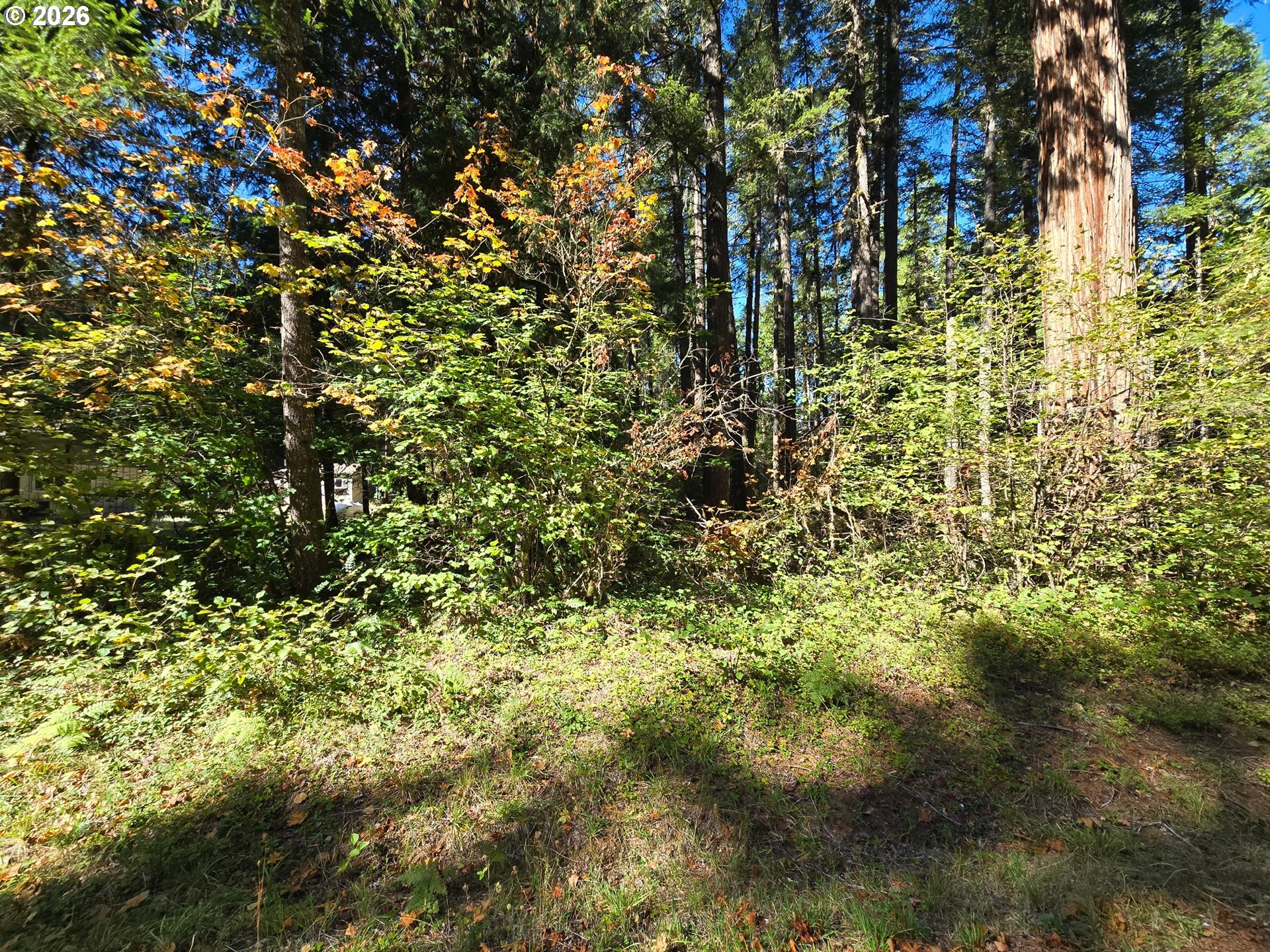 1655231000700 Property Photo 1