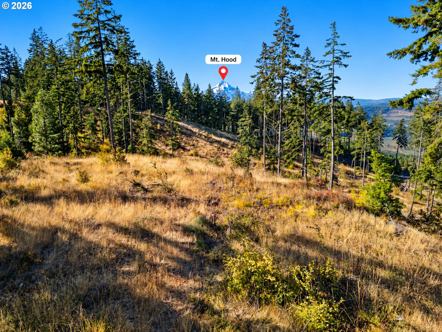 5 Fir Mountain Rd Property Photo 6