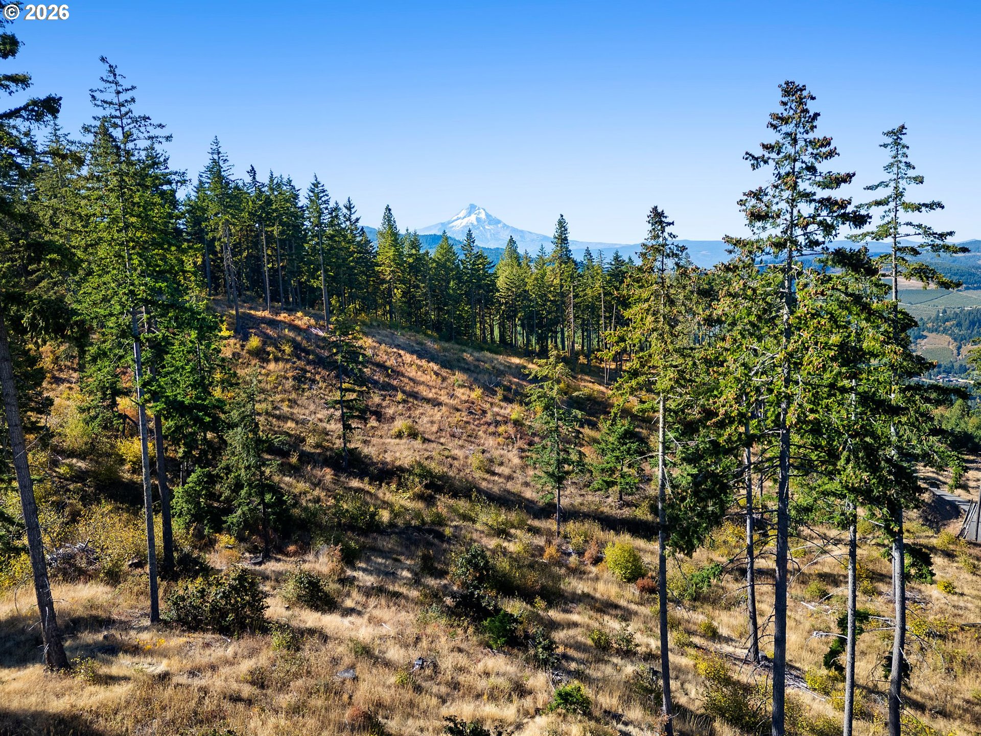 5 Fir Mountain Rd Property Photo 8