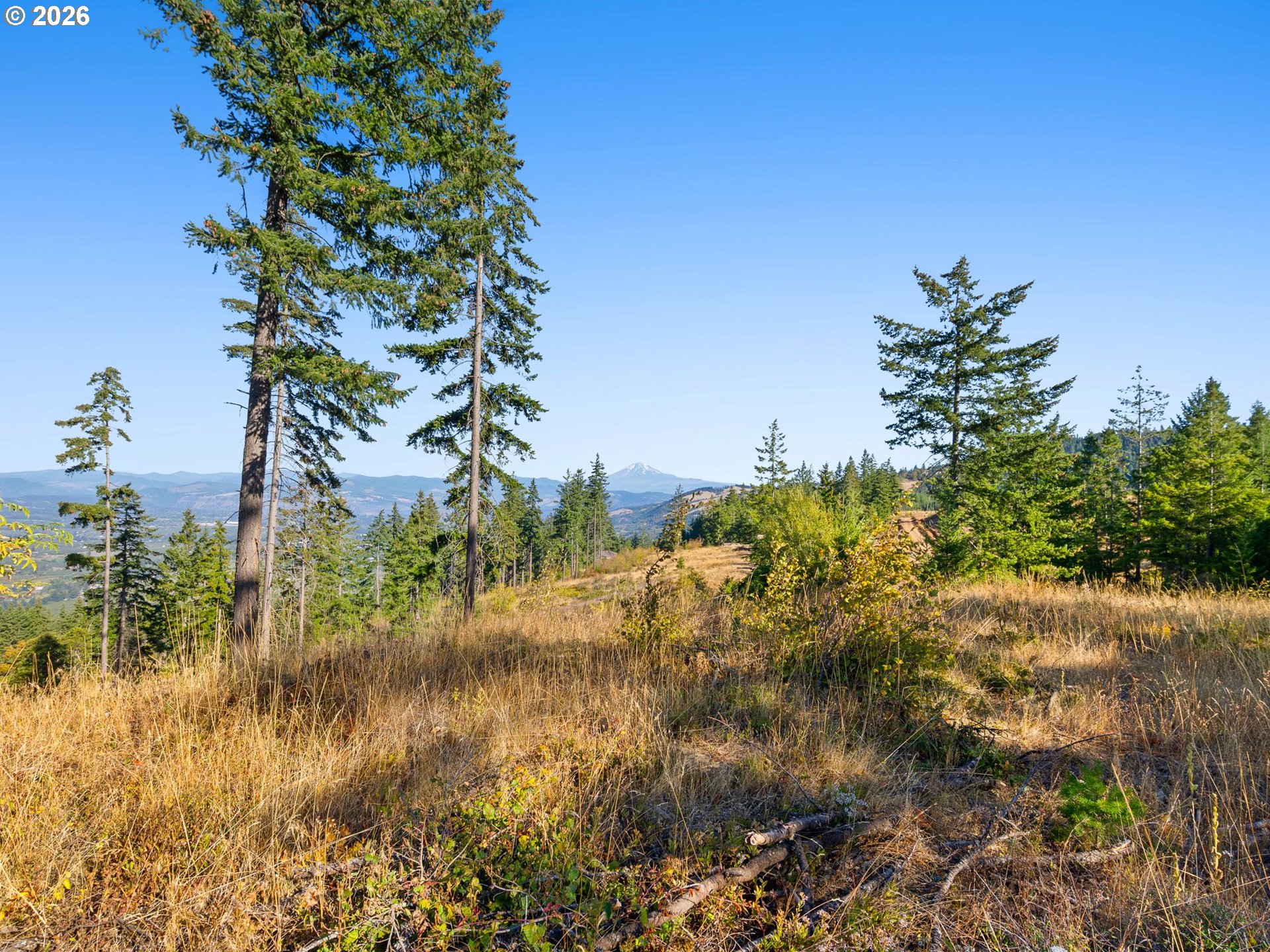 5 Fir Mountain Rd Property Photo 10