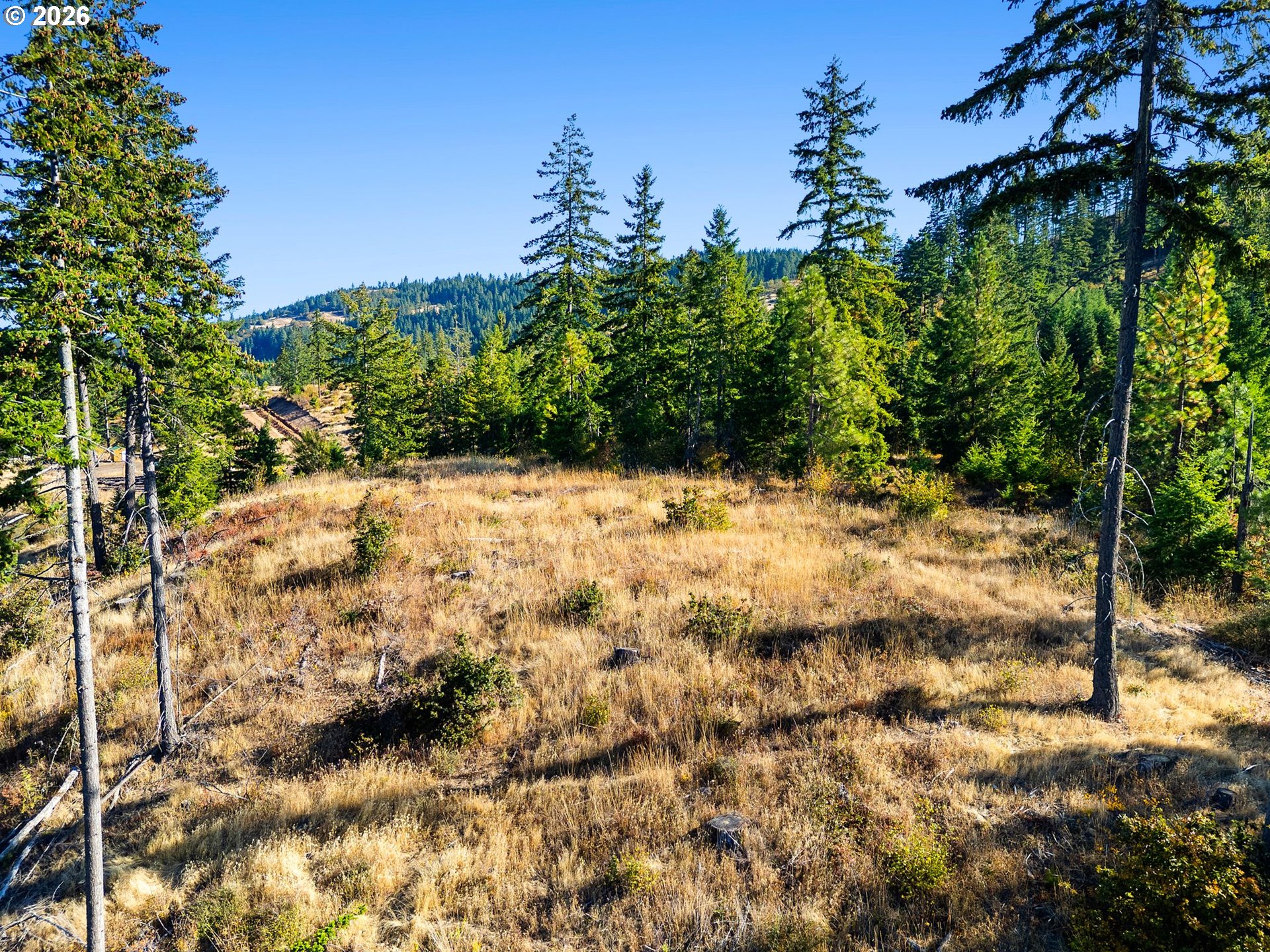 5 Fir Mountain Rd Property Photo 11