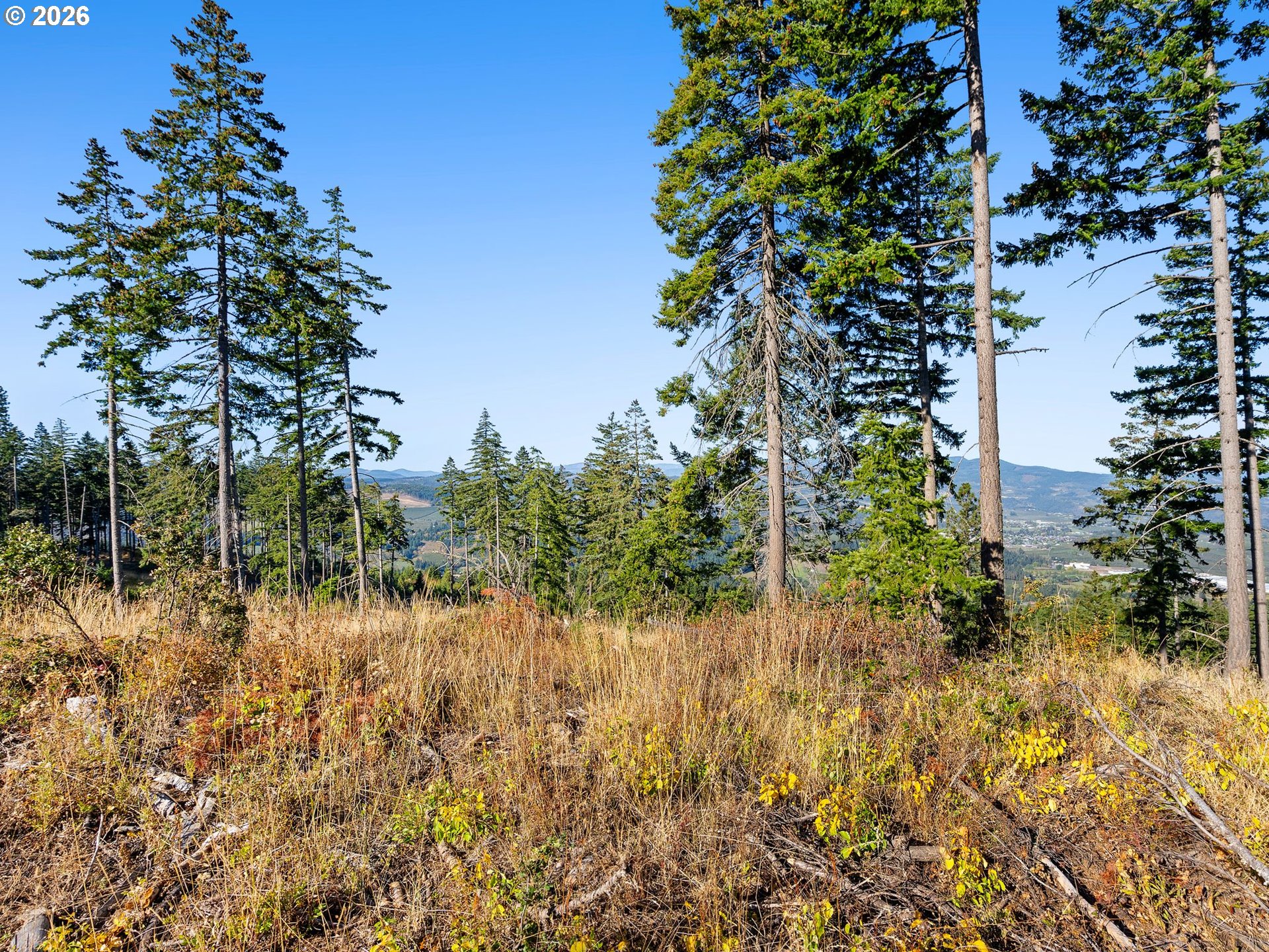5 Fir Mountain Rd Property Photo 12