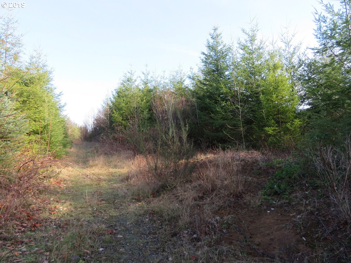 1478 E Hoquiam Rd Property Photo 27