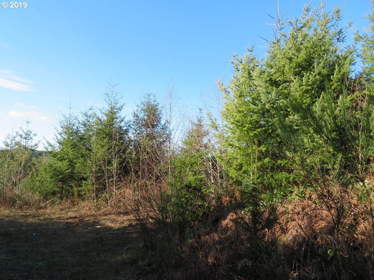 1478 E Hoquiam Rd Property Photo 33