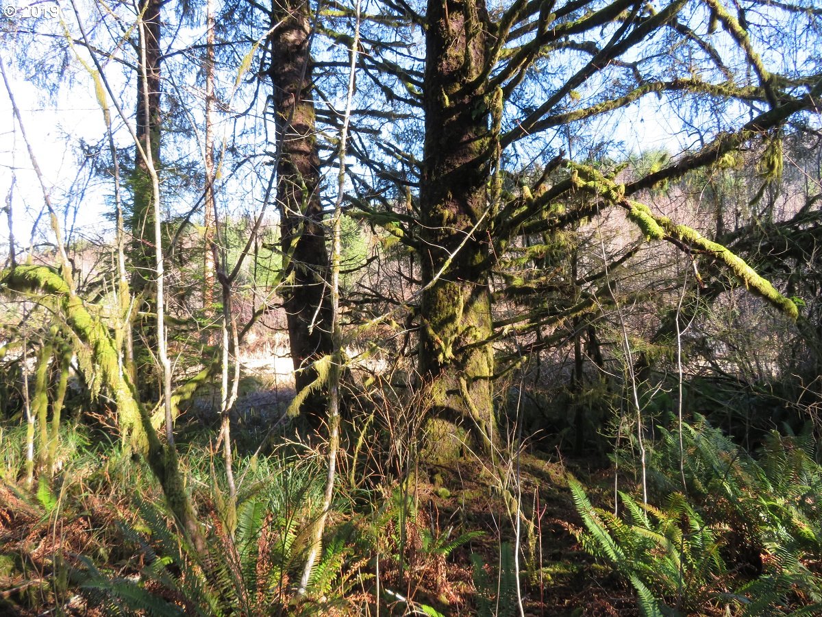 1478 E Hoquiam Rd Property Photo 37