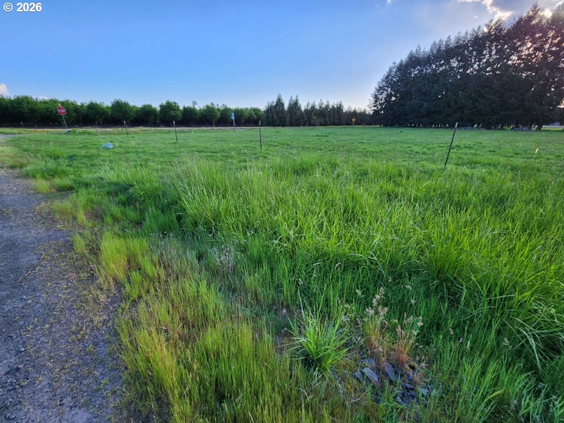 29281 S Old Molalla Rd Property Photo 18