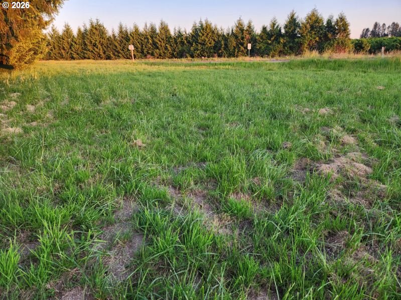 29281 S Old Molalla Rd Property Photo 19
