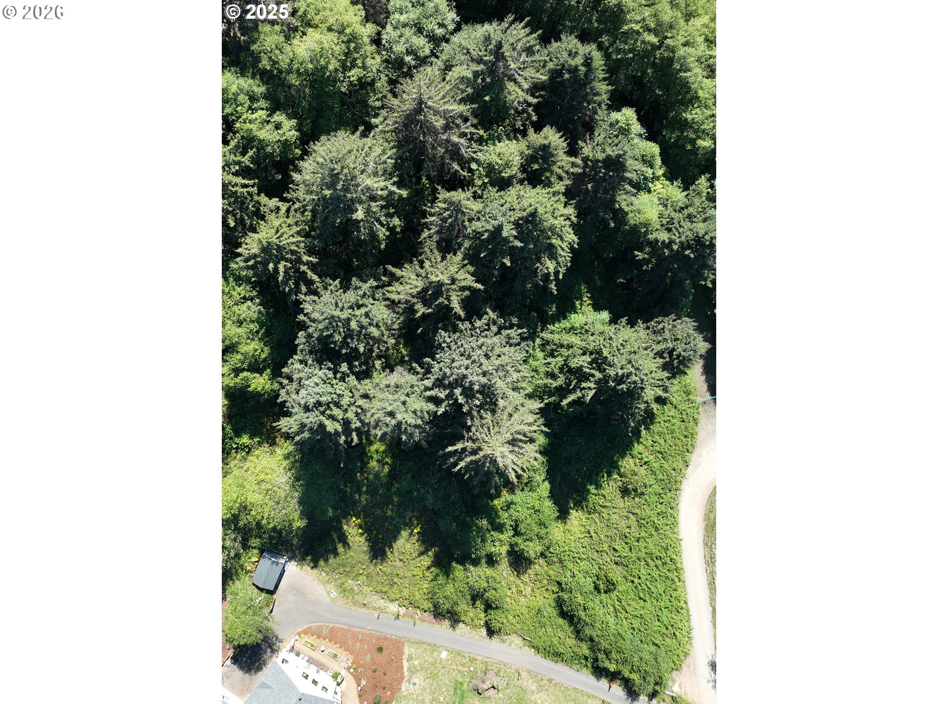 Scherzinger Rd Property Photo 4