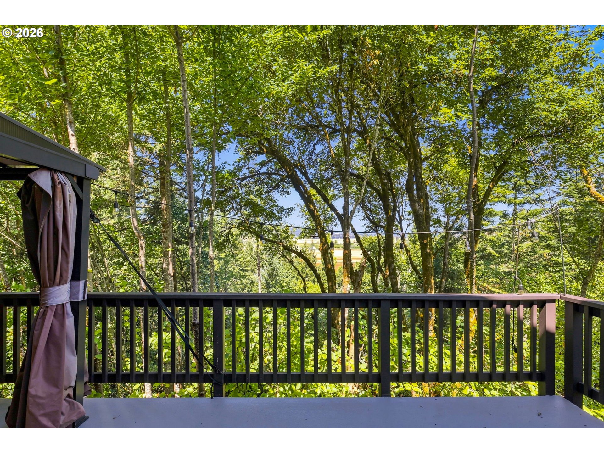 439 Vista Ridge Ct Property Photo 11