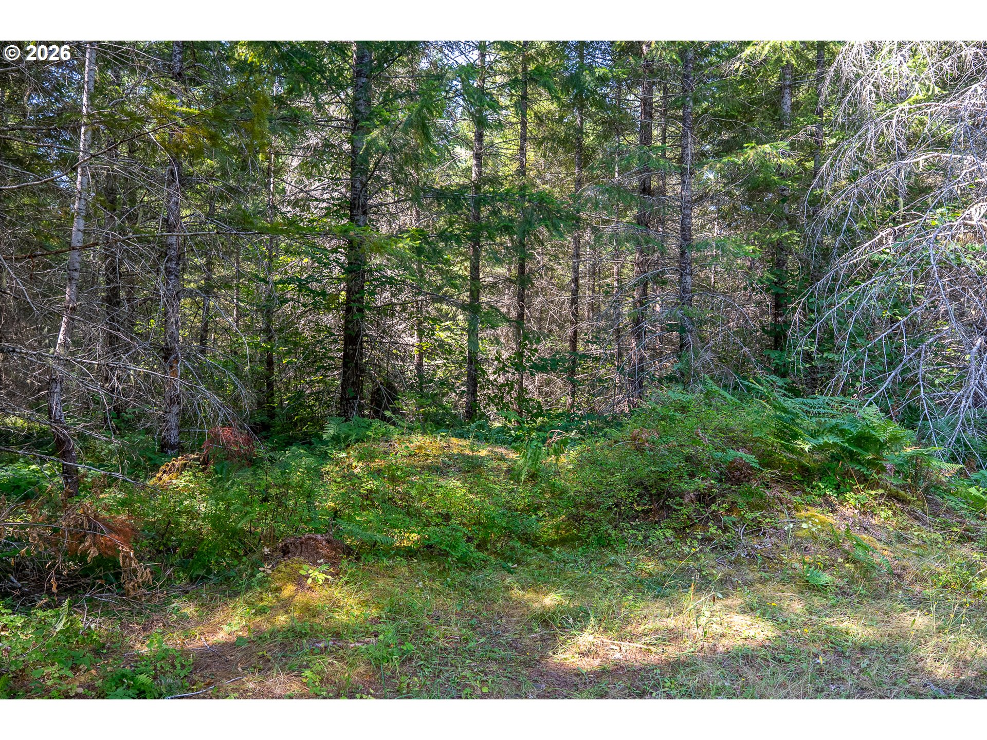 241 Hawk Meadows Rd Property Photo 14