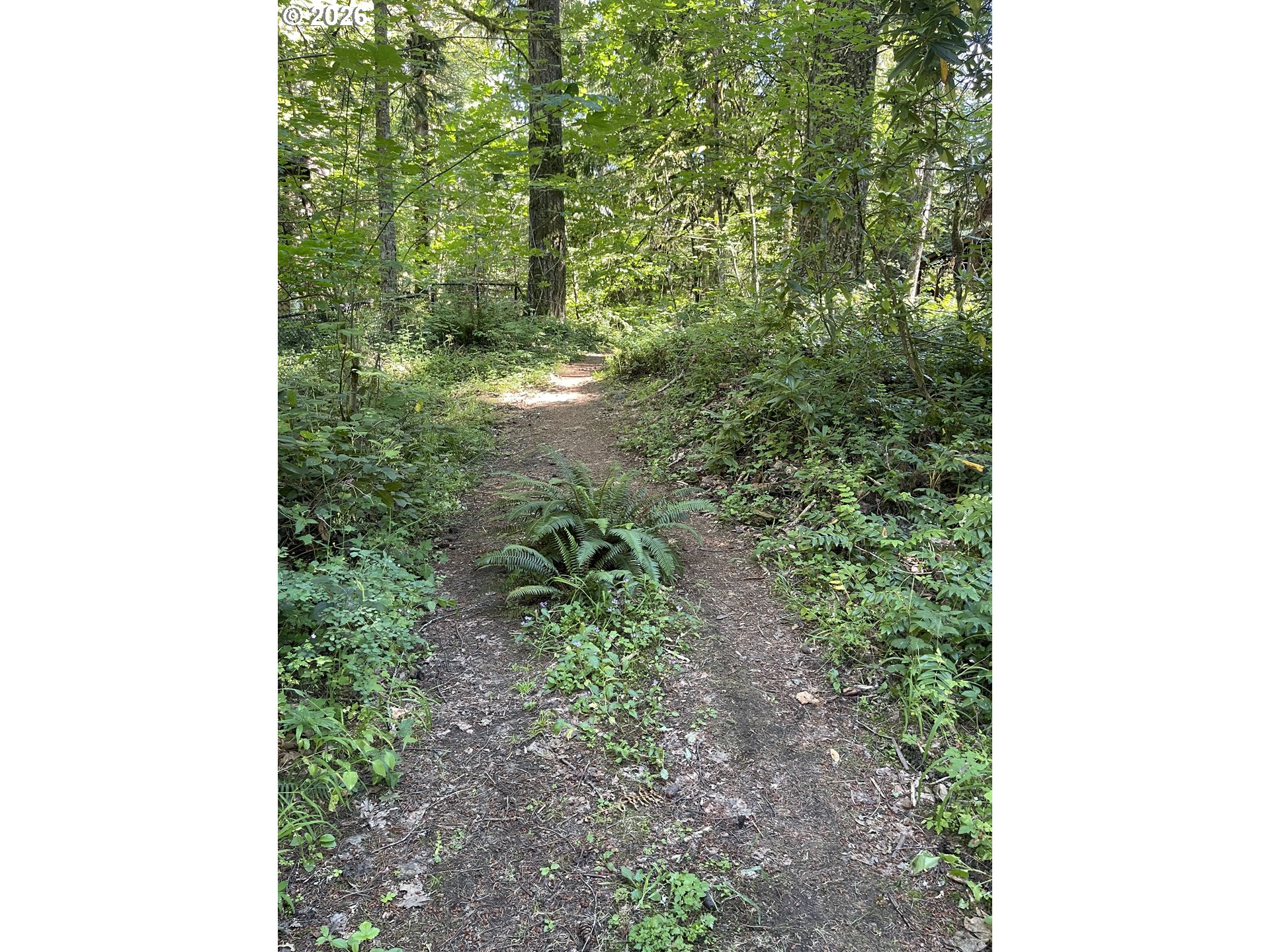 23282 E Sandy Ave Property Photo 10