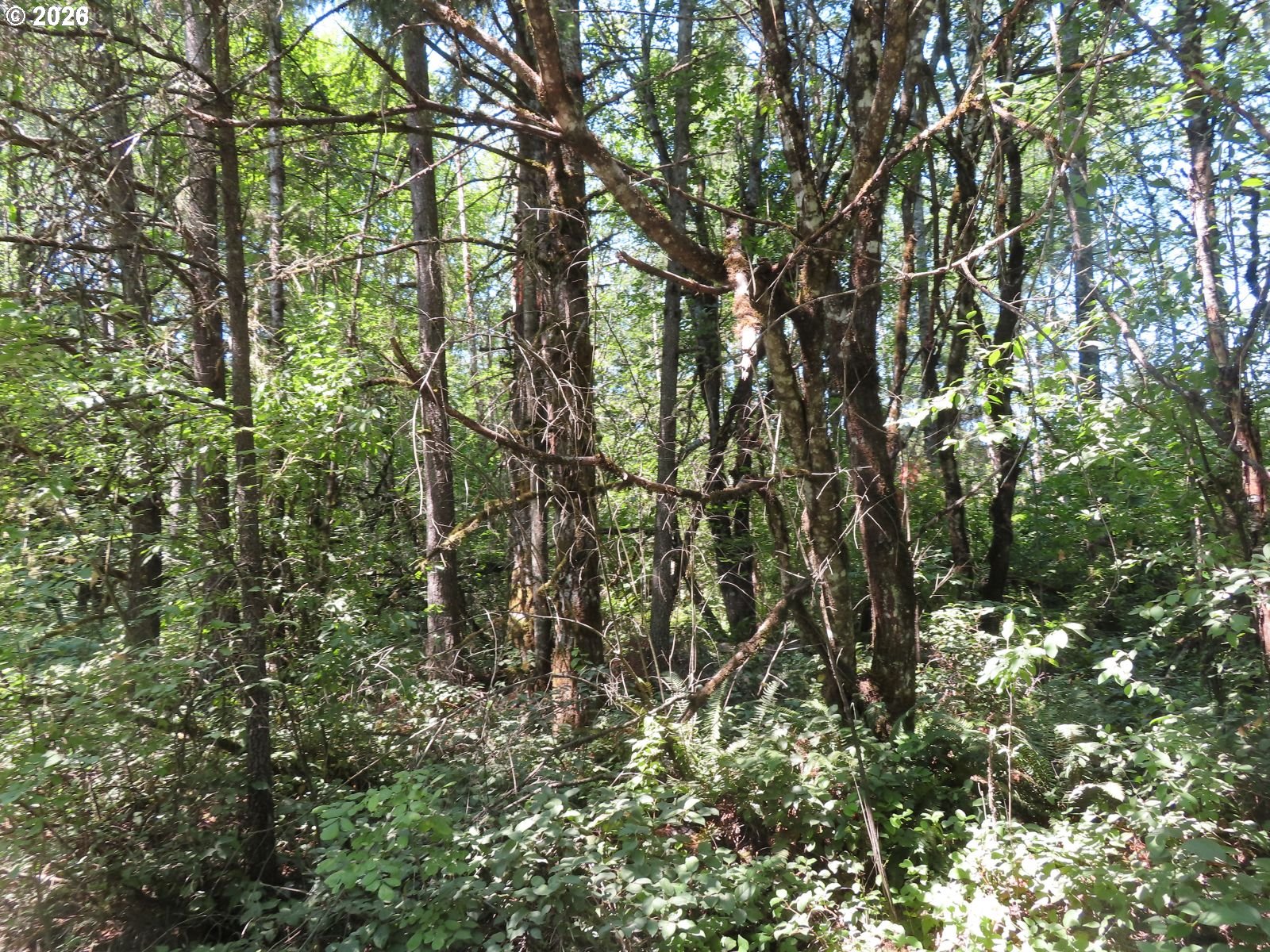 115 Campground Ln Property Photo 11