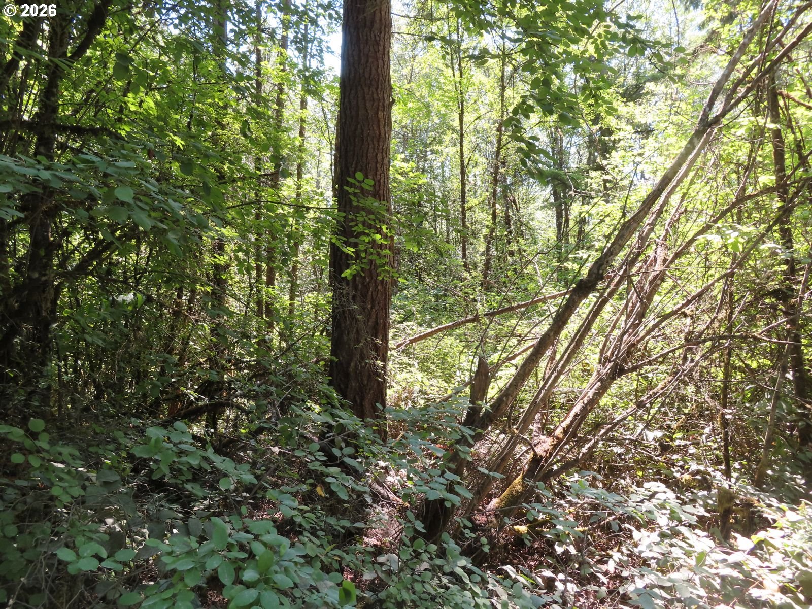 115 Campground Ln Property Photo 15