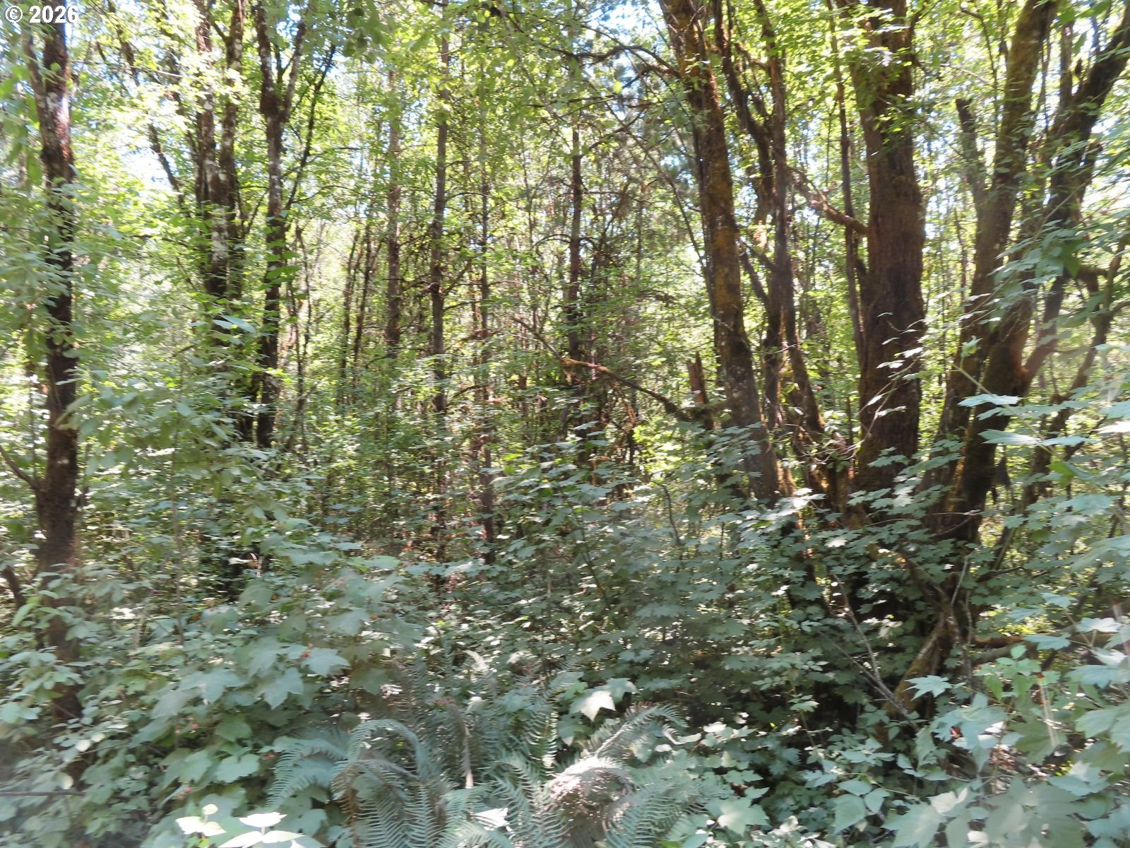 115 Campground Ln Property Photo 16