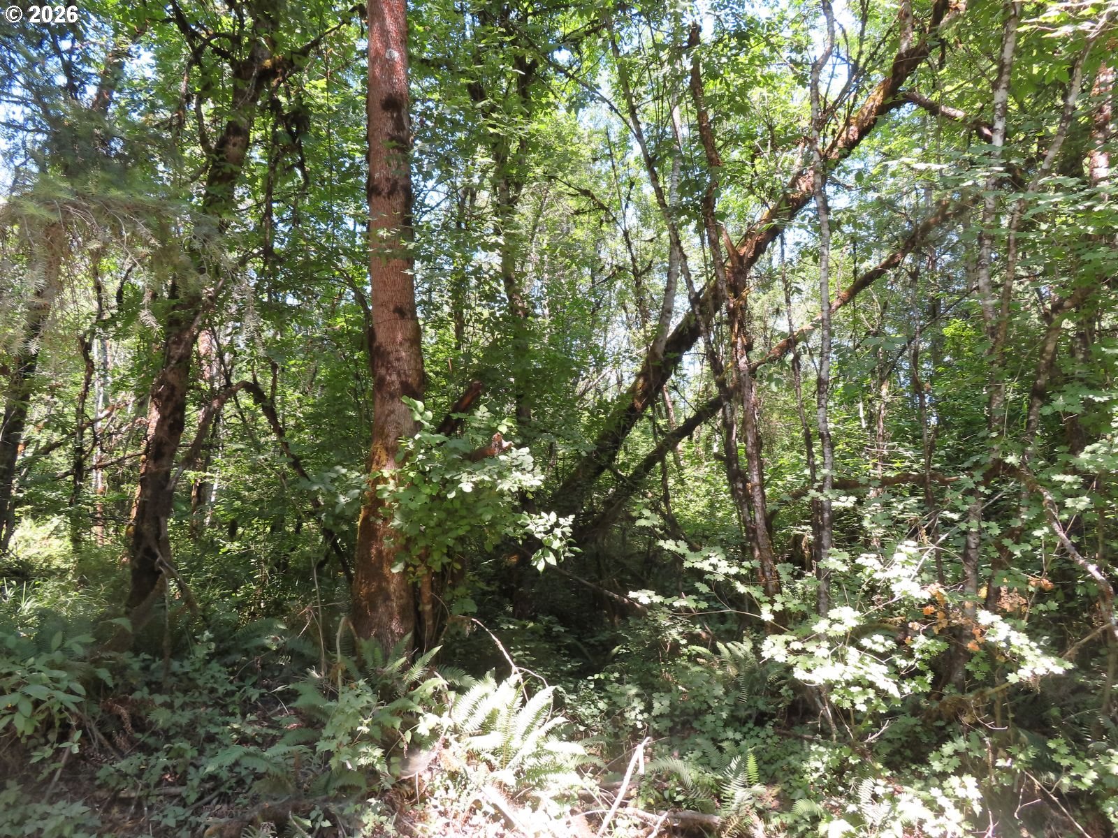 115 Campground Ln Property Photo 18